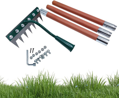 Iron Rake 2.0 Comes with an Extended Handle. It Is a 7-Tooth Carbon Steel Garden