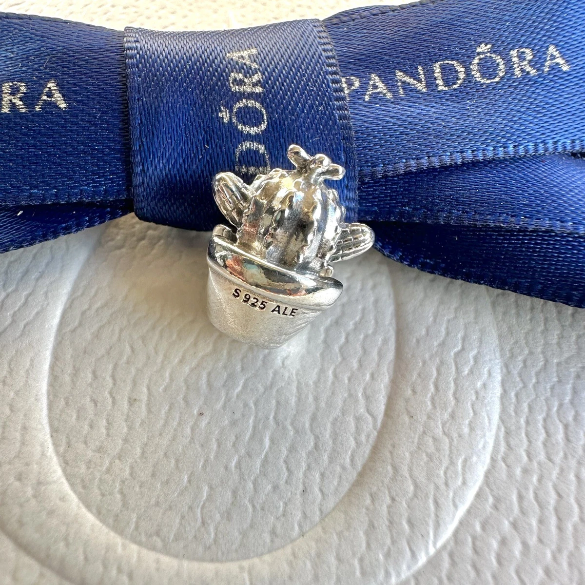 Cactus pandora shop charm