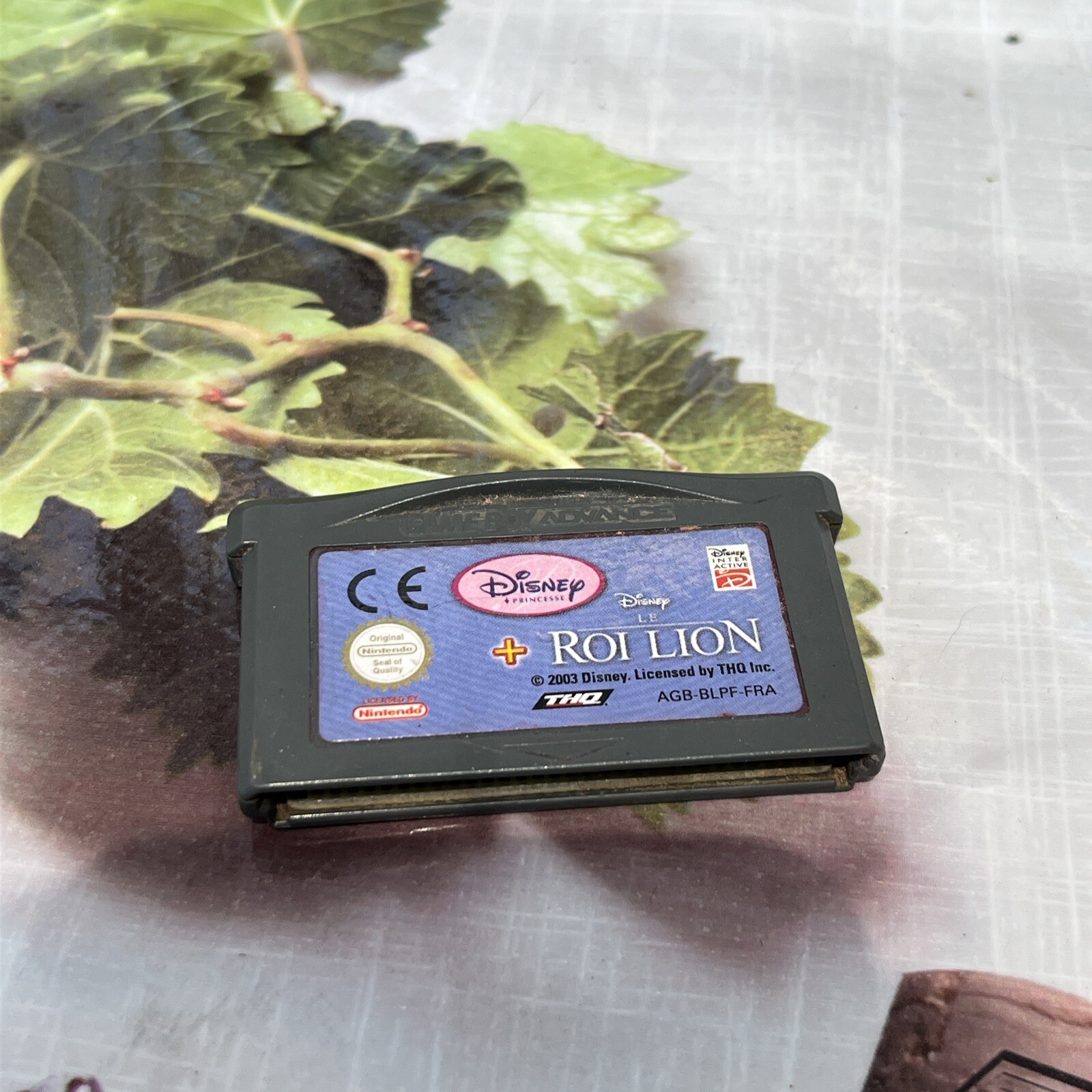 Nintendo Game Boy Advance Disney Princesse + Roi Lion