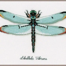 Dragonfly Dreams Cross Stitch Kit - Create Beautiful LMV Dr