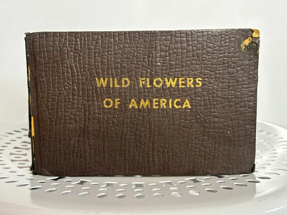 Vintage Antique 1930s Illustrated Wild Flowers of America by Jane Harvey 1932 HC - Image 2 of 4