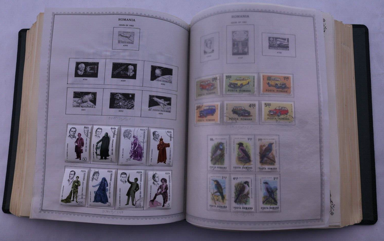 Foto 12 di 21