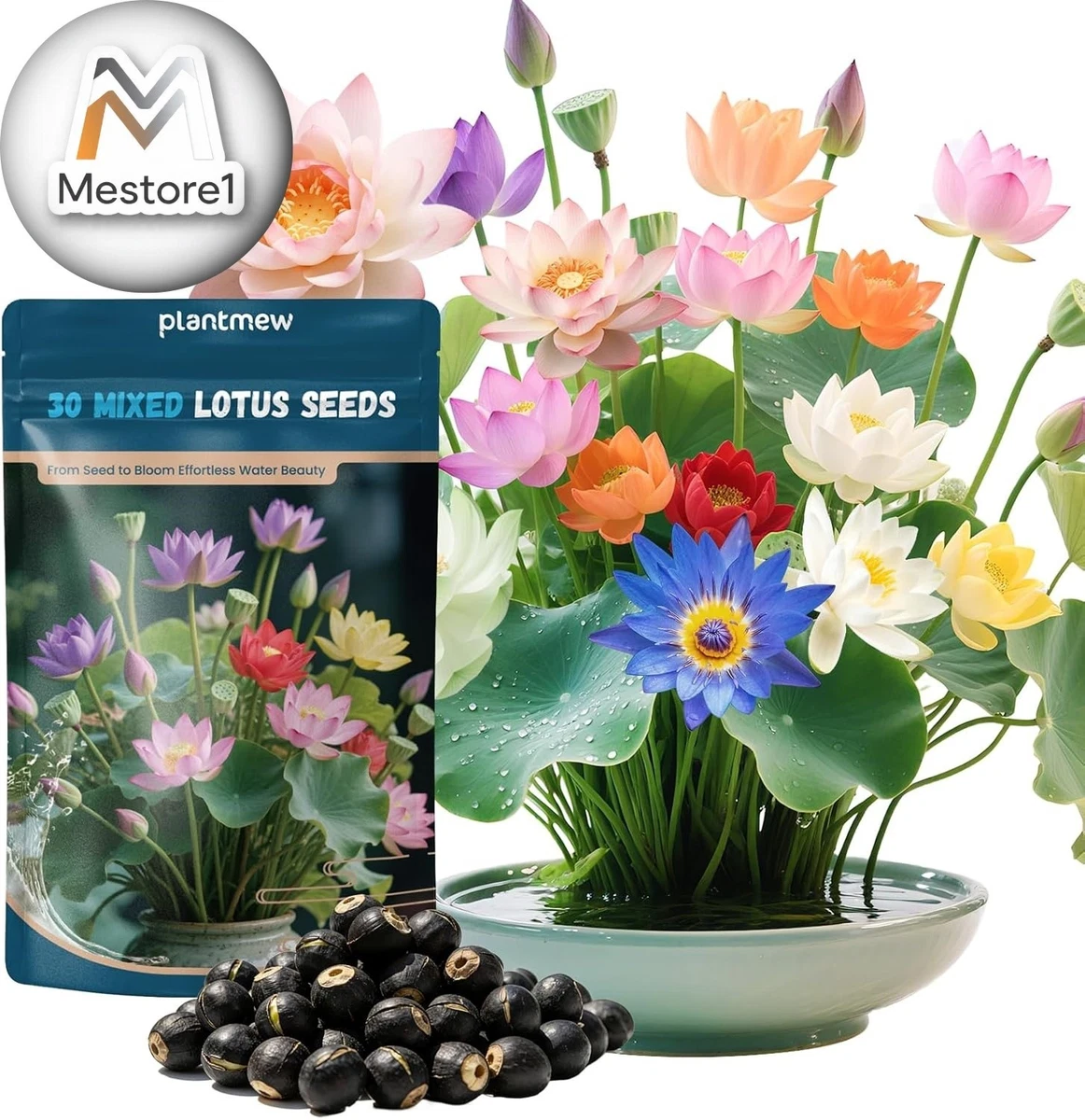 Semente Flor De Lotus Nelumbo Nucifera Rosa Aquática Ninféia você Semente Flor De Lotus Nelumbo Nucifera Rosa Aquática Ninféia você
