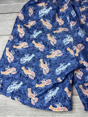 PETER MILLAR Blue Lobster Swim Trunk Boys Sz Large 11/12 Lined Surf Beach Youth - Picture 19 of 20