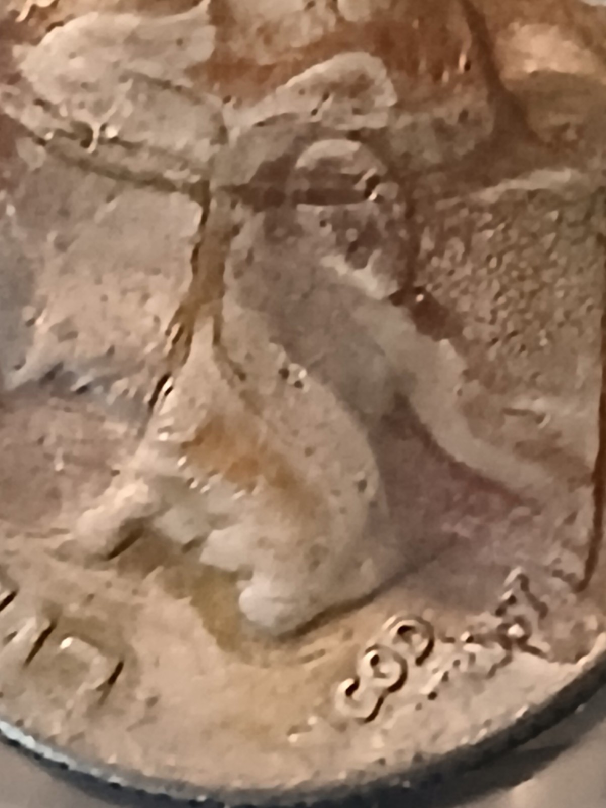 Picture 5 of 18
