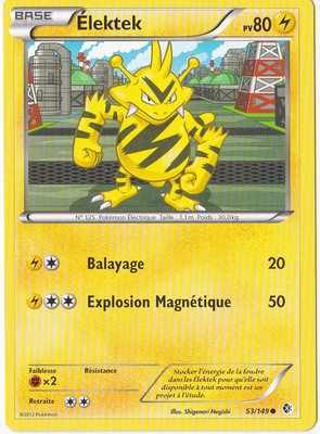 Elektek - N&B:Frontieres Franchies - 53/149 - Französische Pokemon Karte