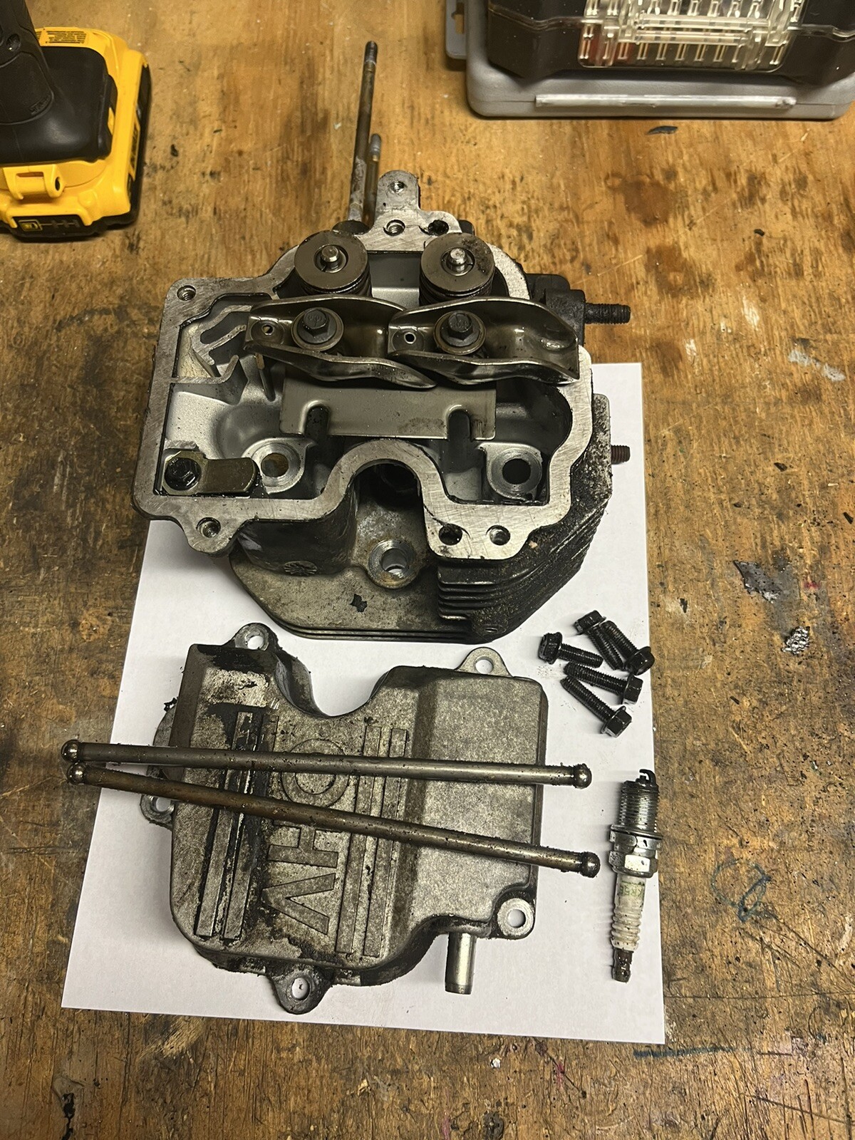 Kohler CV15S41525 OEM Complete Cylinder Head eBay