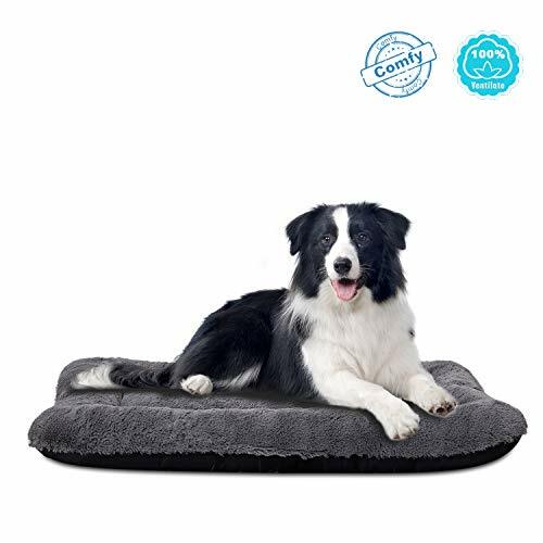 foam dog bed with removable cover