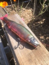 Custom Painted Glide bait Claw Style 230mm Magnum Premium Blank TRAPPER HOOKS