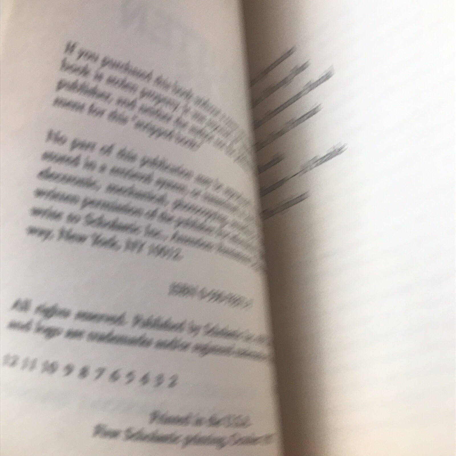 Foto 5 di 6