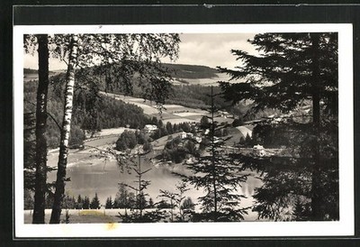 Klein Bistritz, view from the forest to the small lake and the village, postcard 