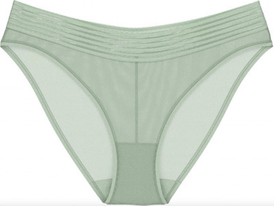 Triumph Tempting Sheer Highleg Tai Slip Neu