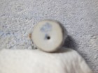 Herend Mischievous Cat On Yarn Ball  Miniature Porcelain Figurine SMALL ONE — photo 6