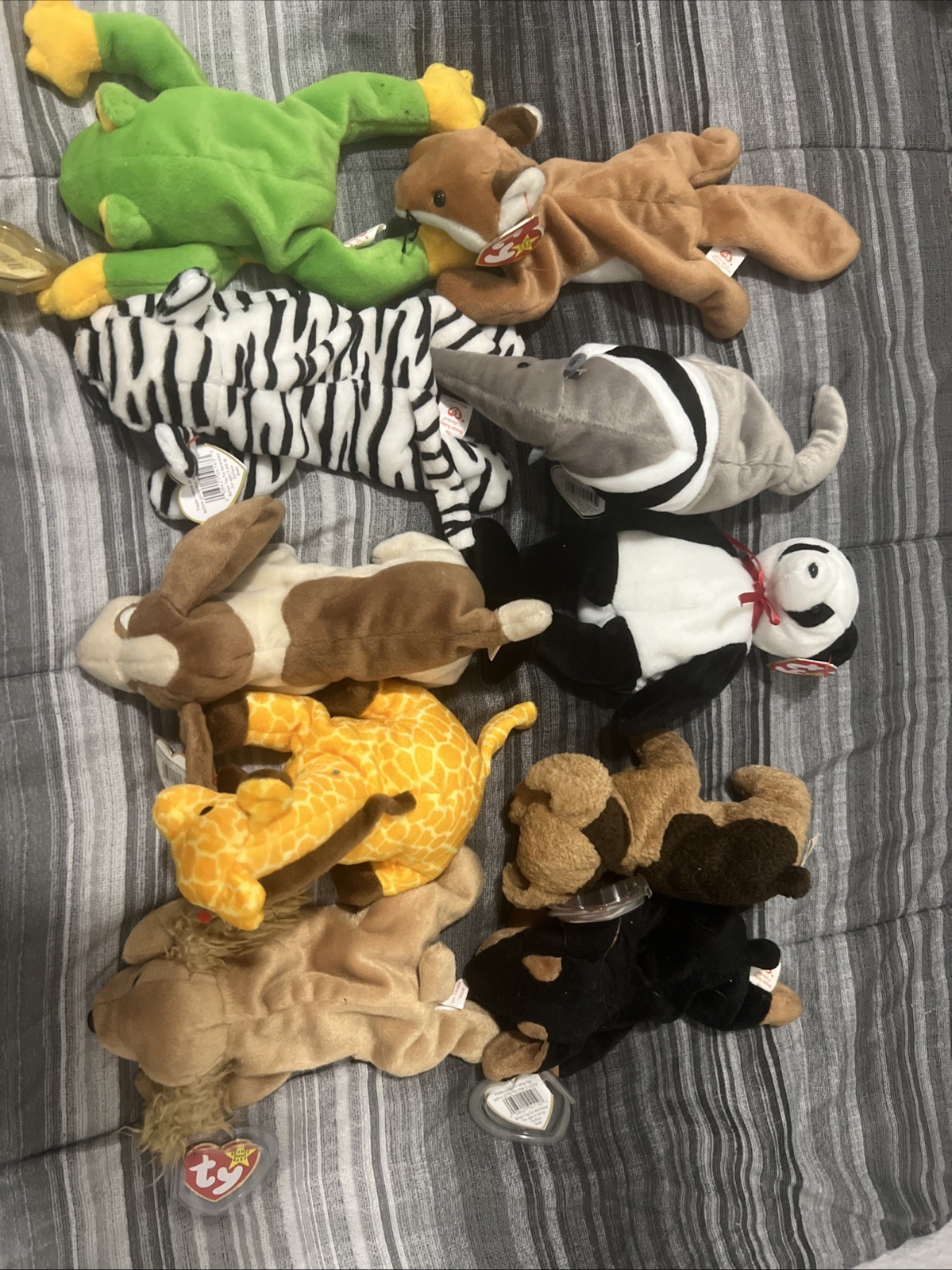 Picture 5 of 8