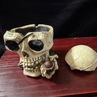 Skull Trinket Box Container w/ Removable Top Lid - Beige/Black — photo 1