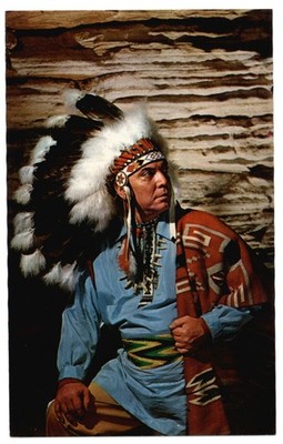 Wisconsin Dells WI Stand Rock Ceremonial Ton Tobee Chickasaw singer postcard