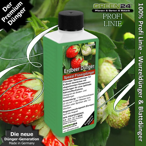 Erdbeerpflanzen - Dnger flssig fr Fragaria Arten NPK Volldnger 250ml |  eBay.de