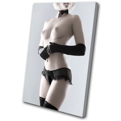 Erotik Sexy Weiblich AKT SINGLE LEINWANDBILD WANDBILD Bild Druck VA