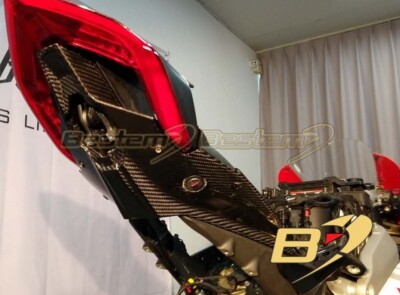2018 - 2022 Ducati Panigale V4 / V4S Carbon Fiber Undertail Cover