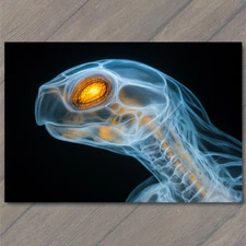Art Print  Turtle X-Ray Glowing Eye Futuristic Skeleton Design Strange Weird