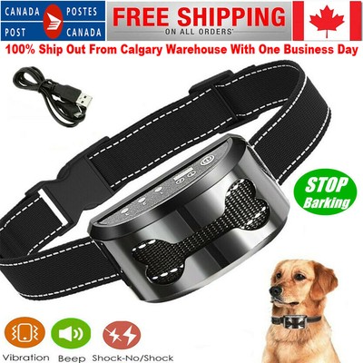 best bark collar canada
