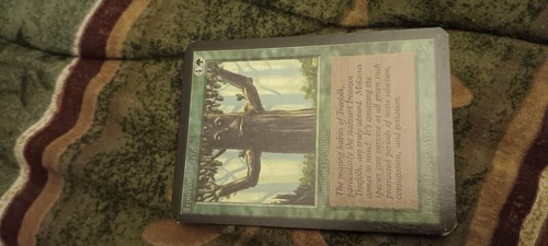 Alpha Ironroot Treefolk LP+ - Picture 1 of 2