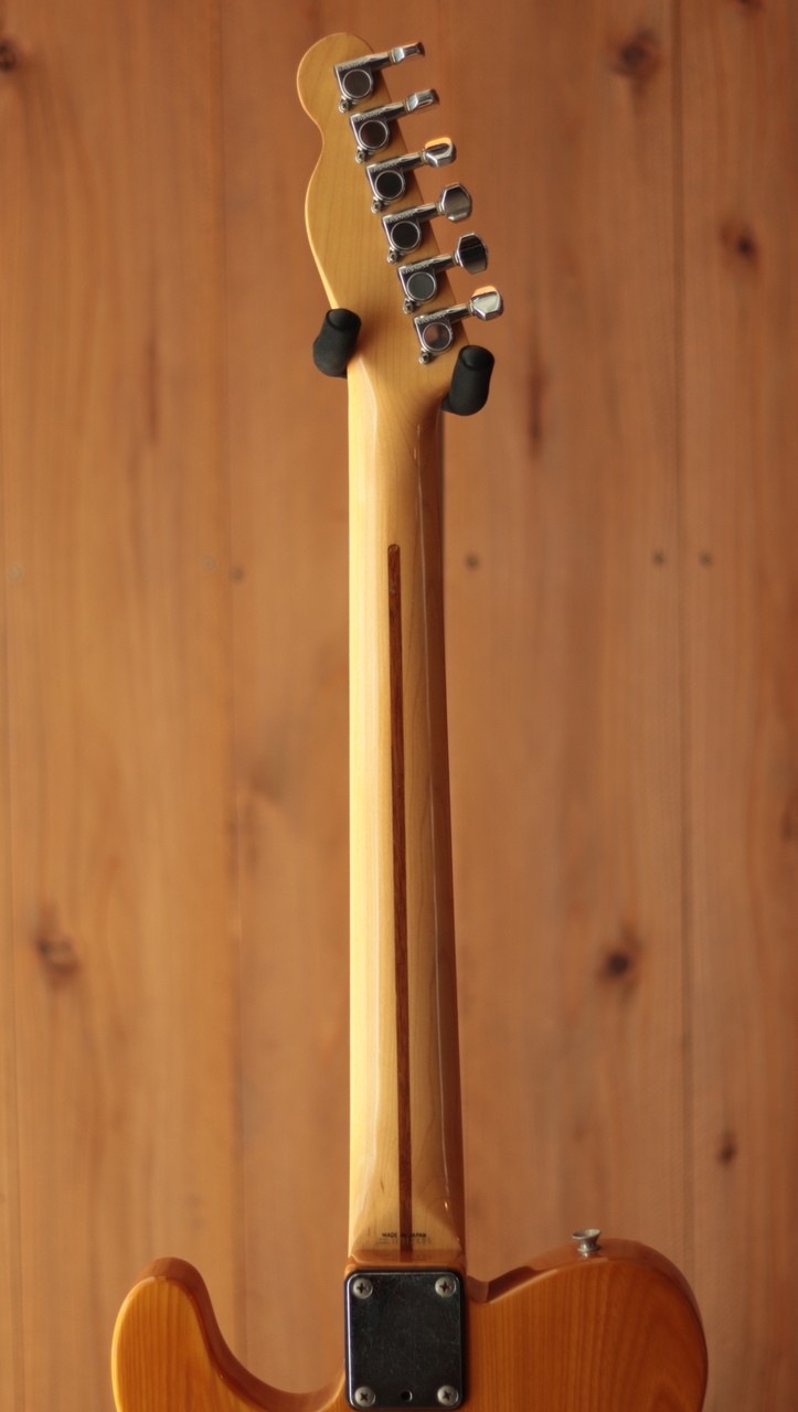 Foto 7 di 10