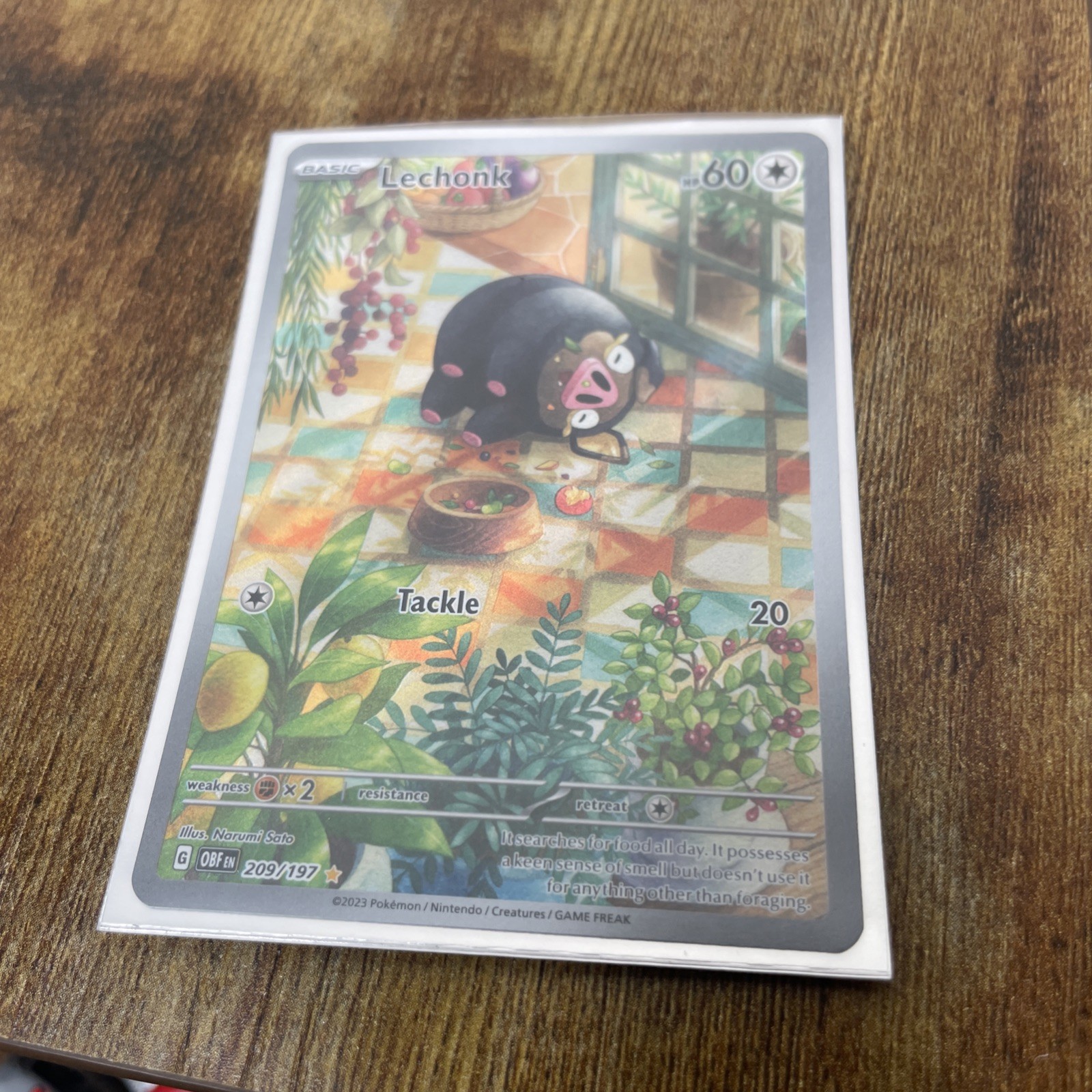 Pokemon TCG - Lechonk Card 209/197 Obsidian Flames Illustration Rare