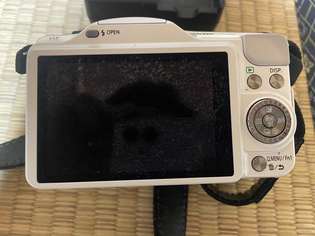 Panasonic LUMIX DMC-GF5 Camera with G X VARIO 14-42mm Lens Tested
