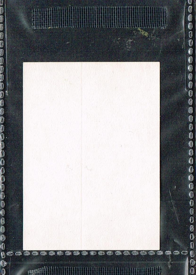 Picture 128 of 260