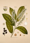 Afbeelding 19 van 31