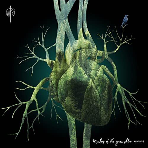 Martin Rubashov Members of the Green Phlox LP Vinyl DZLP088 NEW