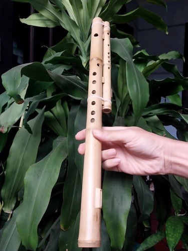 Double Cat Flute (Sao Meo) H'Mong Vietnamese Handmade Bamboo Musical Instrument - Picture 10 of 24