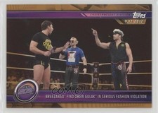 2019 Topps WWE Road to Wrestlemania Bronze Breezango Drew Gulak #39 9aj
