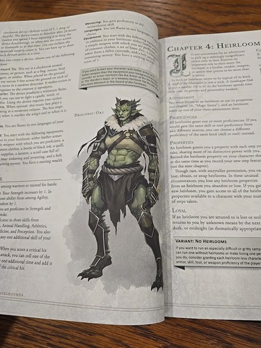 Gnome Made RPG Those Who Wander 2021 Kickstarter Produced - Picture 7 of 11