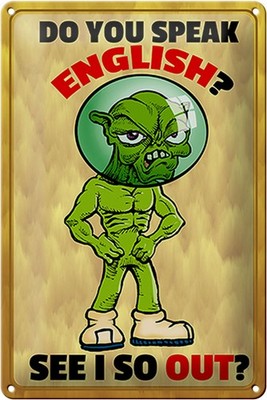 Schild Blech 20x30 cm - Made in Germany - Do you speak english See i so out Meta