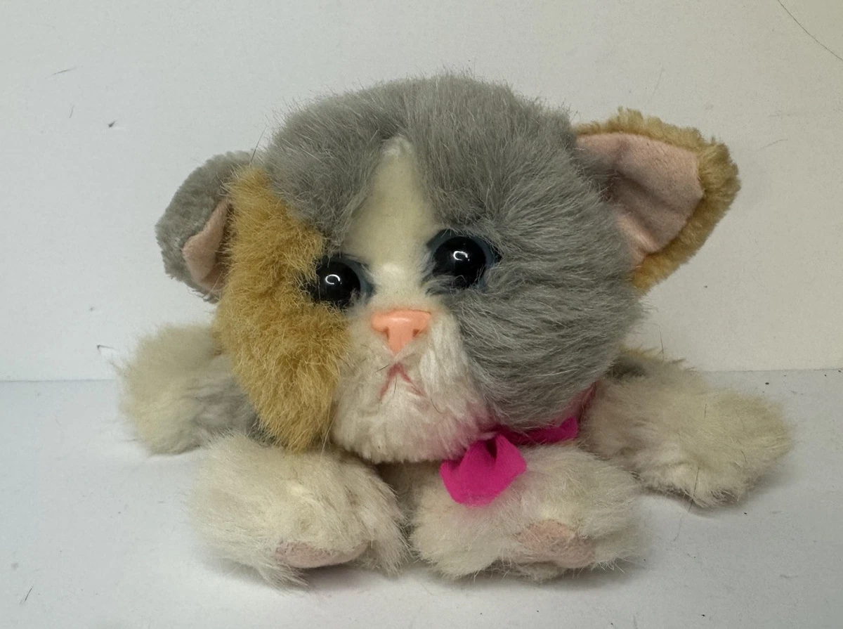 25+ Tyco Kitty Kittens for sale | Updated Oct 2026