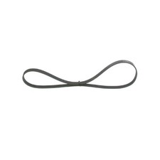 Keilrippenriemen für Renault Clio 2 BB Kangoo KC0/1 FC0/1 | 24197045