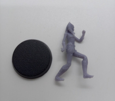 Sci Fi Ahsoka Tano Togruta Padawan 3D Printed Resin Model Cyberpunk Roleplay