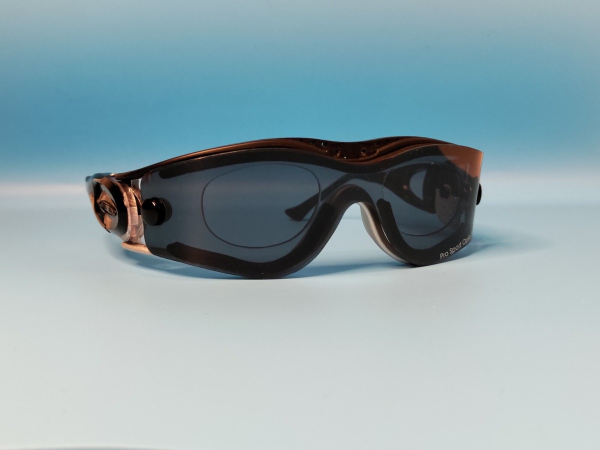ALPINA サングラス　ヴィンテージ Vintage Alpina Sunglasses – Vintage Something