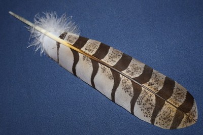 Native American realistic hand-painted Great Horned Owl Feather