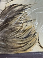 Vintage Hazel's Badger Hackle Neck Cape Dry Fly Tying Feathers Crafts