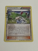 Pocket Scout - Pokémon Tcg Wally RC27/RC32 Generations Radiant Collection NM