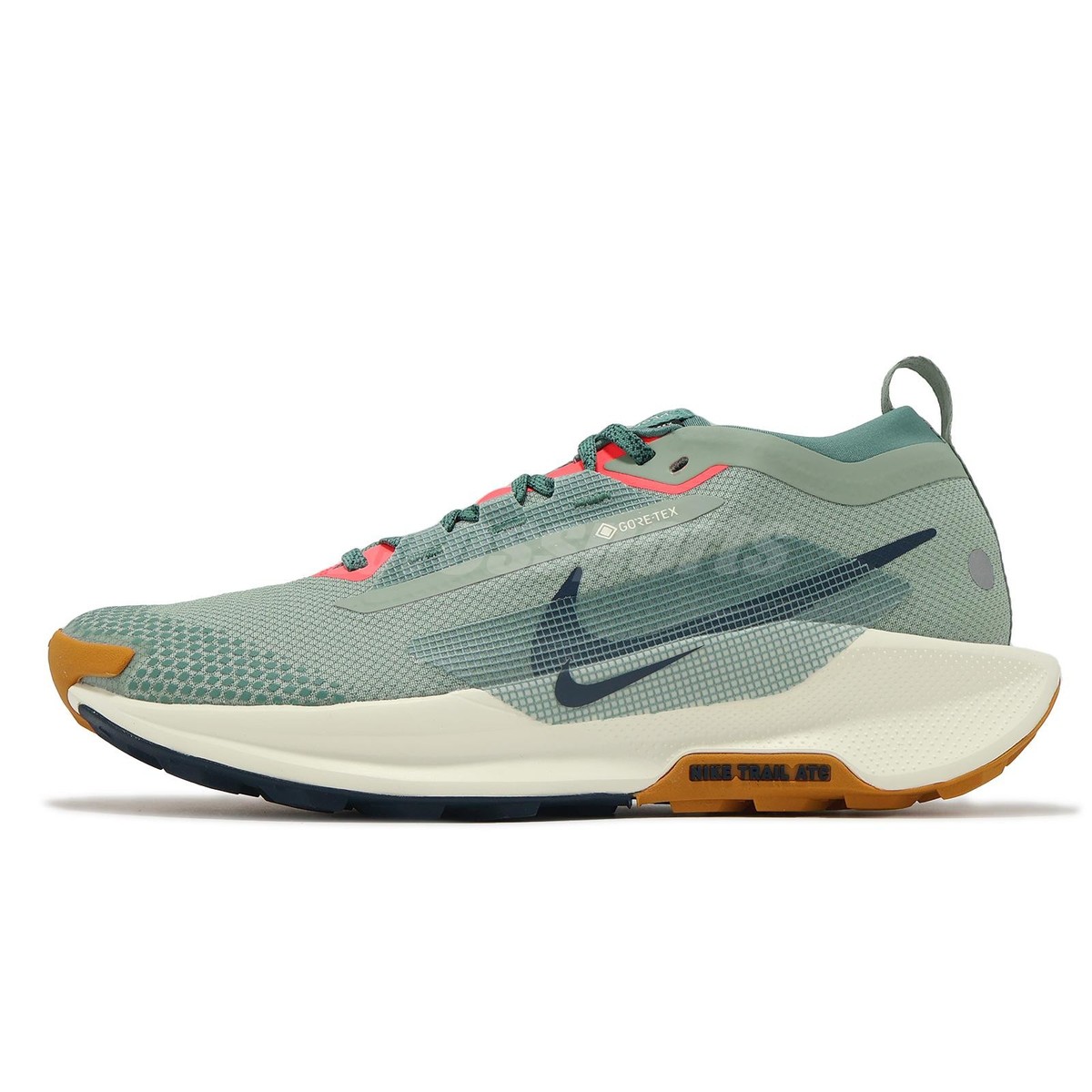 29センチNIKE GORE-TEX PEGASUS TRAIL 5 GTX s-l1200.jpg