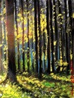 Bild 7 von 11