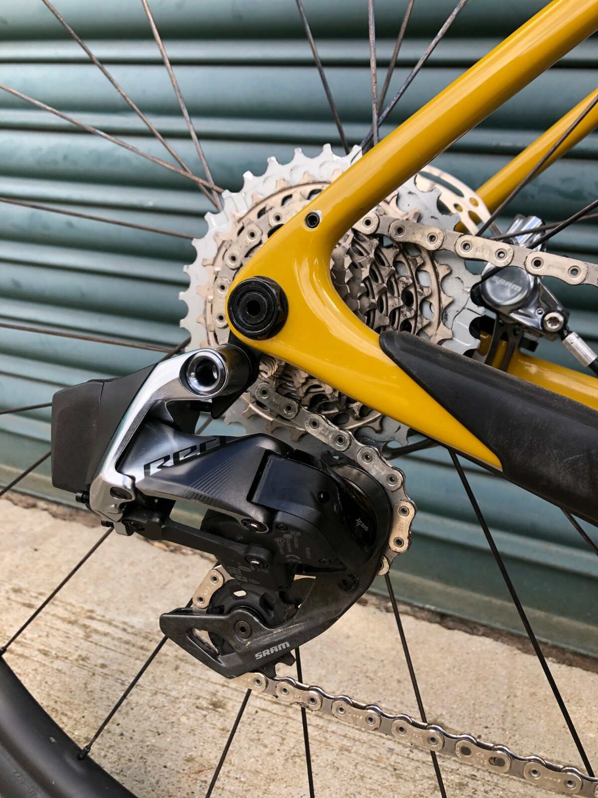 santa cruz stigmata ebay