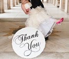 Wedding Decor Bridal Parasol Umbrella Photography Prop Wedding Thank You Cards 