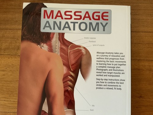 Massage Anatomy A Comprehensive Guide & Anatomy Of Cycling Paperbacks. - Picture 4 of 18