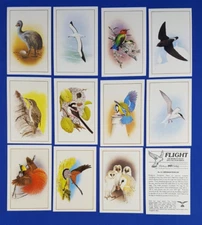 Cadbury 99 Flake Cards FLIGHT -THE WORLDS MOST SPECTACULAR BIRDS set of 12 loose