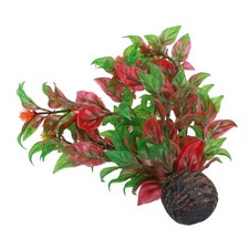 Acquario Acquario Pesciera Autoaffondante Media Facile Altezza Pianta 20 cm (...